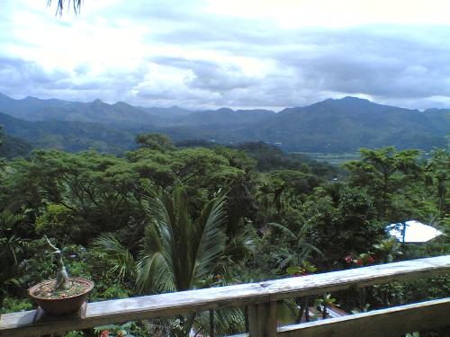 view from the top - Again, taken from Jonathan's house. Much later in the morning.