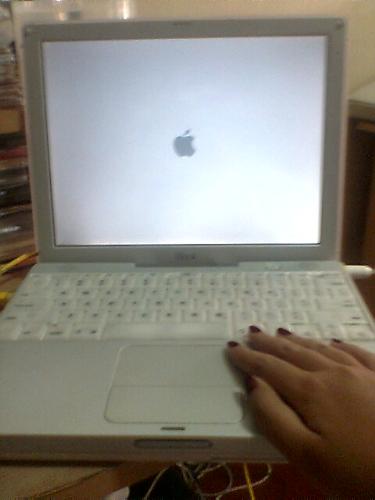 Mac iBook - My Mac iBook and my manicured hand. I love MAC laptops, they are easy to use and it really doesn't have major problems. Well, not with mine anyway.