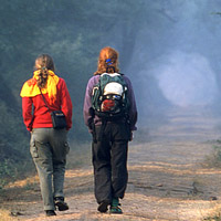 Walk - A morning walk through the mist with my beloved one.