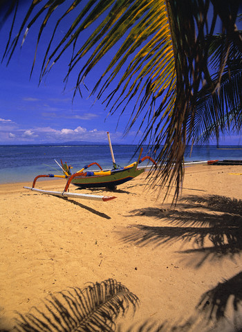 an island in indonesia - boat on beach near plam trees