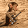 Jammin moneky - i love monkey's cant you tell?