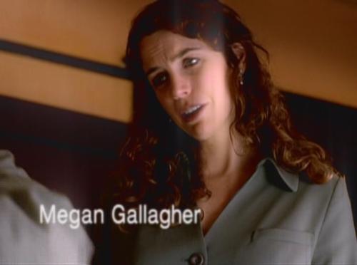 Megan Gallagher - Megan Gallagher. Main role in Millennium, as Catherine Black, wife of Frank Black (Lance Henricksen)