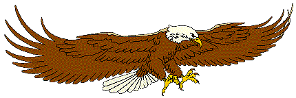 American Eagle - An bald amercan eagle is flying.