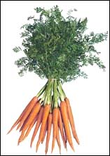Carrots - Very health vegetables,the best thing we can do is learn our children eat them.