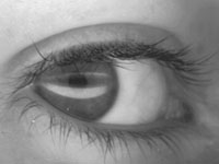 Eye - Eyes, the feature I notice first about a person