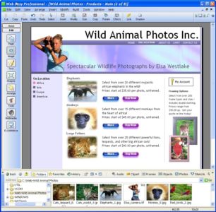 a web site - a picture of web site 