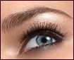 eye make up cloese up - close up of well applied eye make up