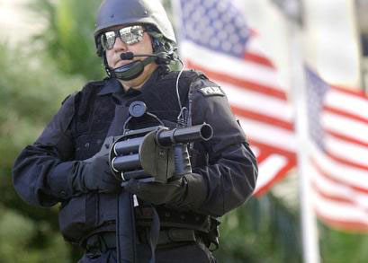 Police - A police on duty...what gun is these?