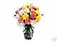 In Appreciation - Thank you
