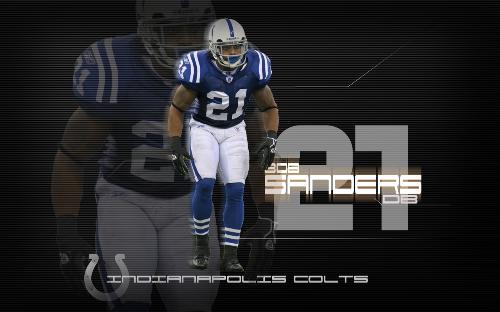hard hittin bob sanders - remember this guy, nick name'the punisher'
