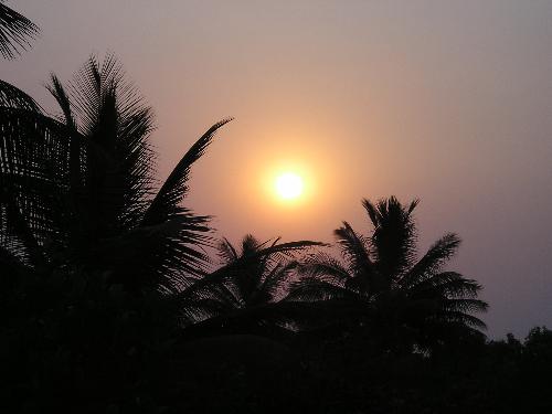 Sunset - Here's the picture of the sun setting amidst the coconut trees :P. I basically loved the secondary ring around the sun which is clearly visible.