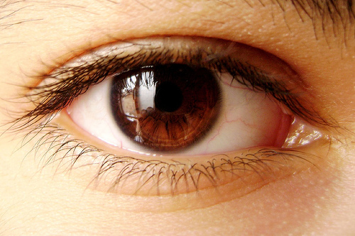 Eye - Brown,big and beautiful.
