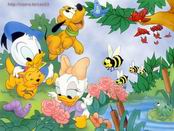 Donald Duck - child donald duckk == so cutee~~~