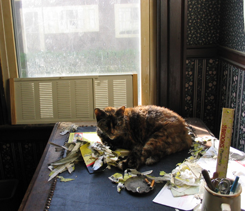 the evil princess nebula - herself rather proud of her nest of phonebook. *sigh*oh well..she had fun..