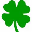 Four leaf clover - this is a picture of a four leaf clover
