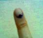 Indelible ink on the index finger - signifies that a person has already exercised their right to vote and chose the nations leaders.