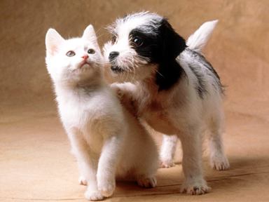 opposites attract - love is a funny thing.. n opposites attract