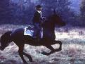 horserider - Dangerous horse riding horserider - Dangerous horse riding