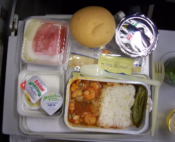 Airplane food - It makes me sick just when I watch it. I've never liked the Airplane food and I don't think I ever will! What do you think? Are the meals good?