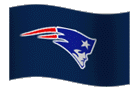 pats flag - pic of pats flag