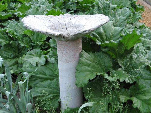 Homemade Bird Bath  - My husband made these really cool bird baths. Eveyone just loves them. He has made over 25 of them already. They are extremely durable as they are cement.