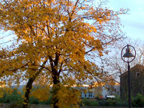 Autunno - This photo was take in Veneto (ITALY) near Venice... This imagine is magic..