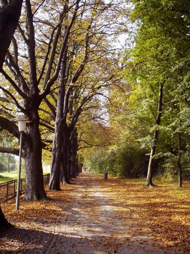 Autumn in Hambug - It is a photo taken by a good friend. Do you like it? I like autumn very much and I think that this photo is very very good.