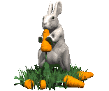 Bunny likes to have more carrots!!! - Bunny is doing fine with all her threads. She got satisfaction from seeing all her friends participating in her discussions. It doesn&#039;t matter if bunny garnered few responses only. After all, bunny preferred to have more carrots. 