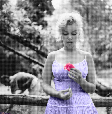Marilyn Monroe - She is the true definiton of what a woman is.