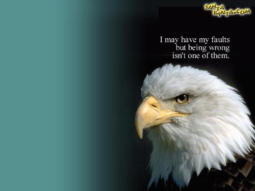 The Eagle - The Eagle the bird I like very much.