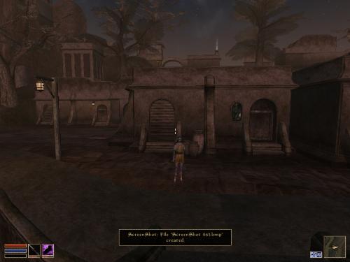 Morrowind Screensavers - Look at these brilliant pictures of my charecters:geldoir and gelodir AND SOME OF MY NEWEST CHARACTER gul du cott. So do you know that uploading morrowind screenshots are the best way to make money on mylot? Well if you want to know go to morrowinds root dictionary find the sentance: Screenshot enable=0. Turn this into Screenshot enable=1. Now this will allow you to be able to make morrowind screenshots! But now we have a problem! MyLot dosn't accept bitmap! Oh no! So go and get a program like irfanview! An you can turn them all into jpegs