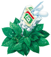 Tic Tac mints - Tic Tac original Flavor mints