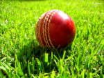 Cricket Ball - It's a red cherry