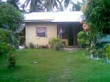 My house - My house in the forest!