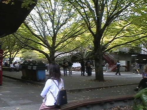 Massey University - Concourse