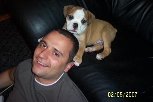 my boys - here is my bf and my little english bulldog puppy. i have 2 wonderful boys :D