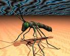 beautiful insects - Insects r beatiful. N I dont kill them, justdrive them away.