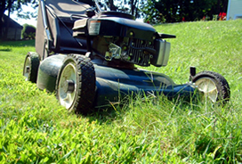 Lawn Mower - A picture of a lawn mower.