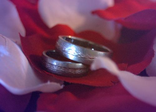 My Wedding Rings - This is a picture i took to put onto our thankyou cards from our wedding... let me know what you think! Feel free to use this image.
