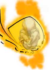 motherhood - there are many ways to represent the feeling, the emotion brought by motherhood