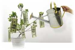 money could grow on trees... - wonder if that would solve the problem :)