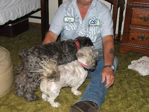 Pets - Two pets