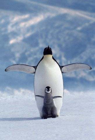 i believe i can fly - someday i can fly in the sky !