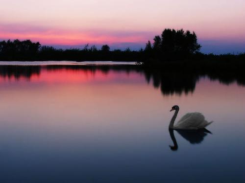 i'm not alone. - enjoy my leisure.
