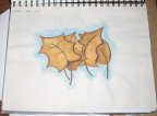 Watercolor painting of leaves. - This is a page out of my art journal that I first drew with watercolor pencils, then blended with water.