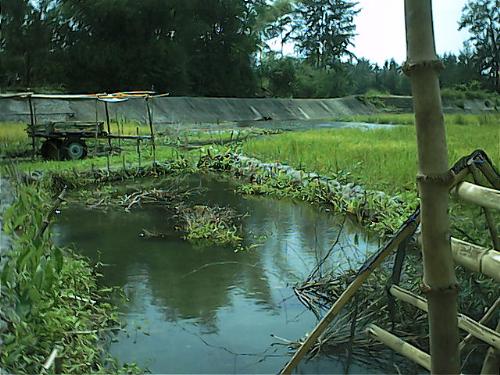 our farm in Zambales - here's a place where you can sit back and relax...