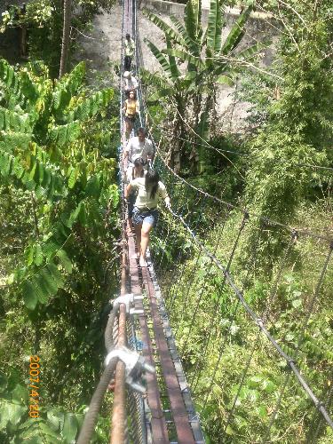 cdo '07 - nature tripping... walkin' the canopy walk. 180 ft. above the ground.
