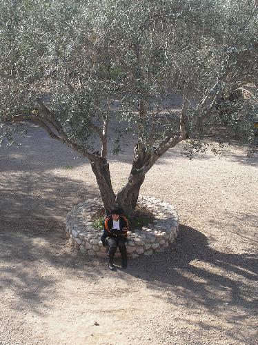 Solitude - Sometimes, we have to take time to be with our own self!