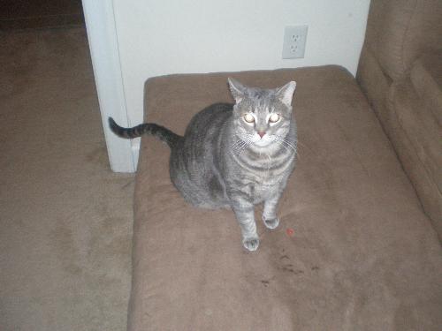 Sliver, my 2nd oldest - Here is Sliver