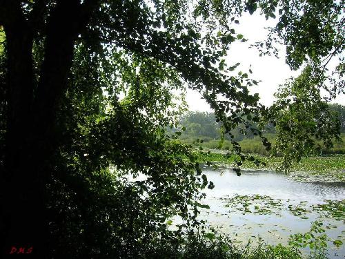 Fairies & Gnomes - This is my favorite photo, my fiance took it. It reminds me of a place out of a fairytale...Do you have a favorite place you like to go, sit and enjoy the calm and quiet of nature?